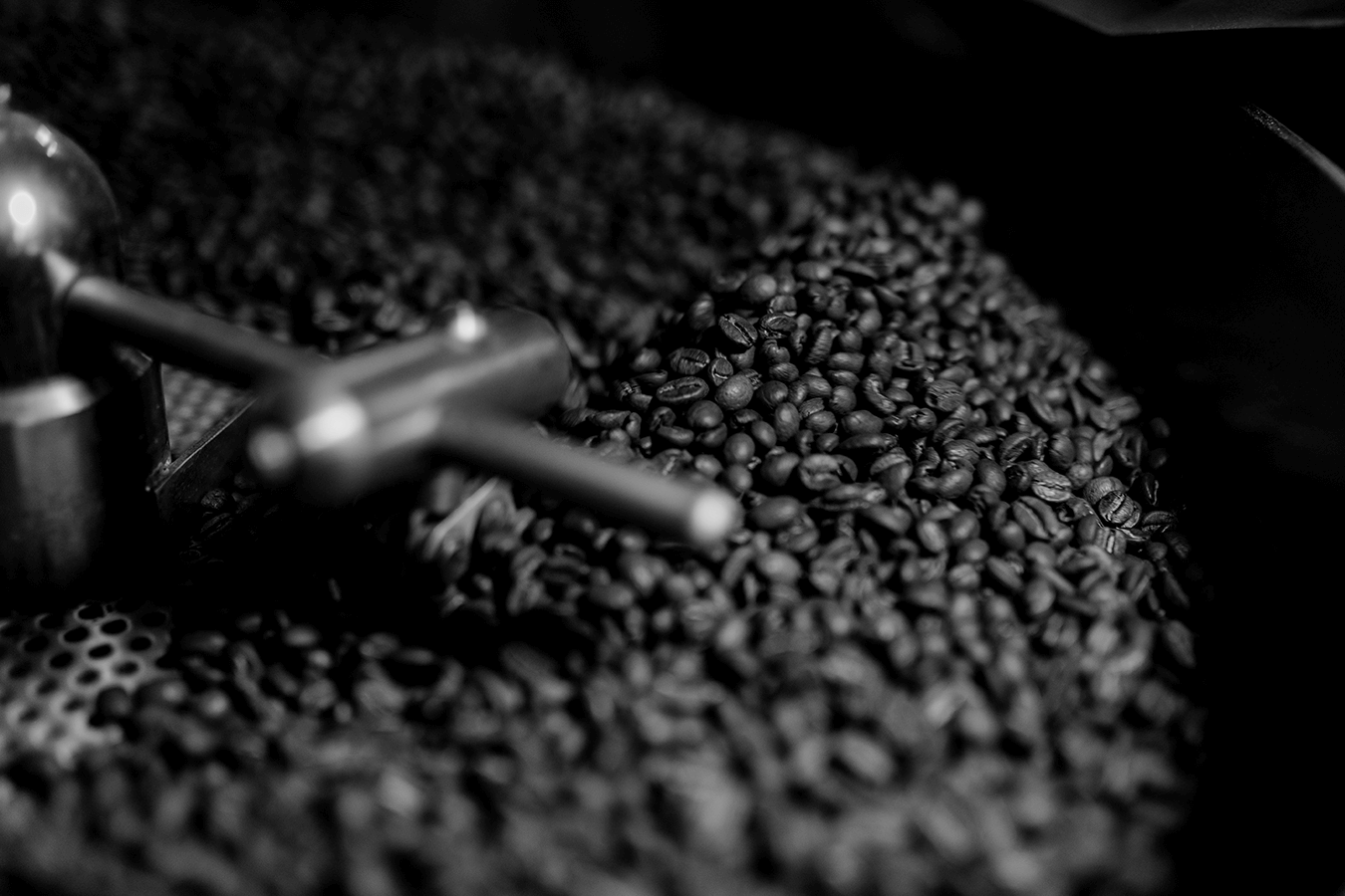 Freshly roasted coffee beans in a coffee roaster. Best roaster in Orlando, Florida.