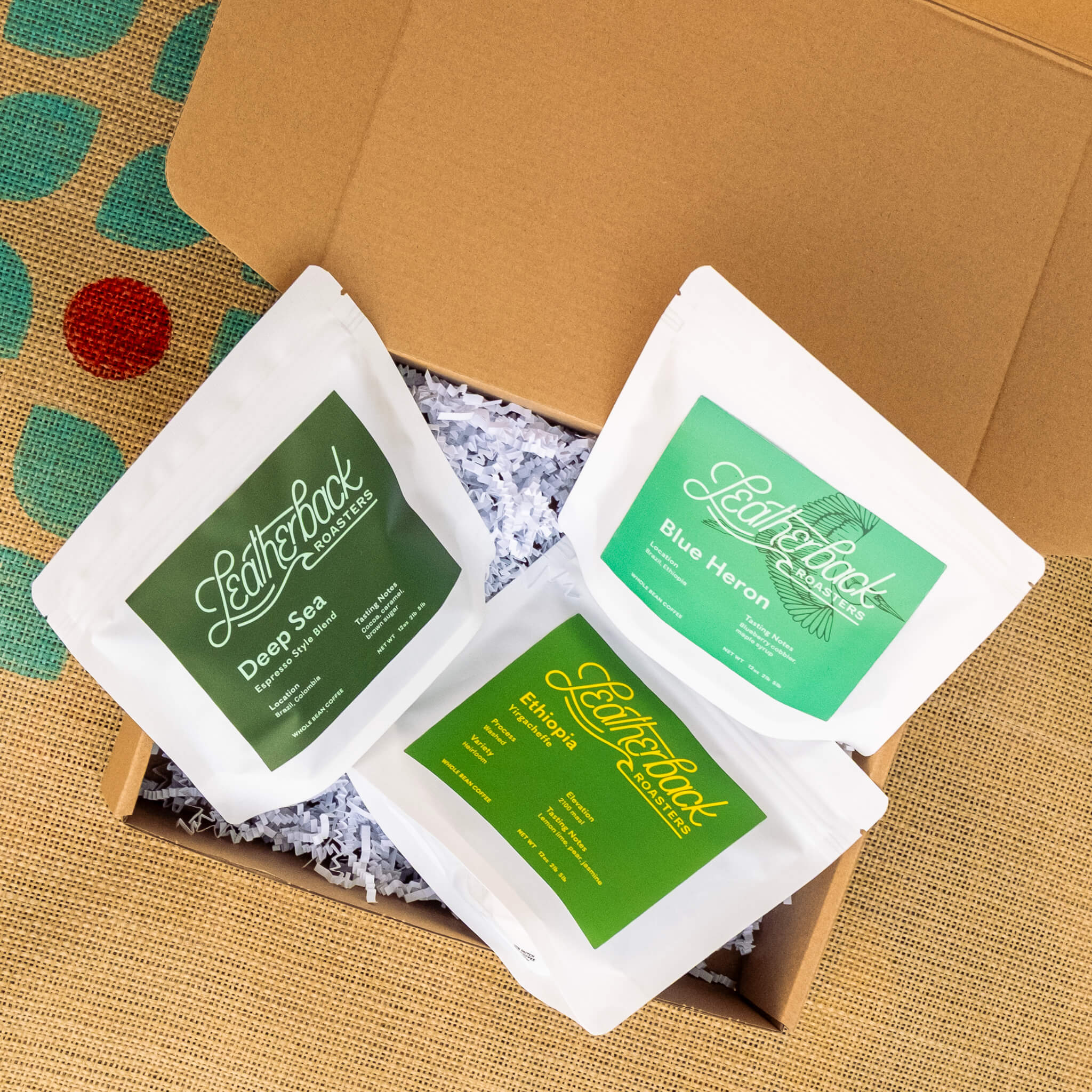 Coffee Sample Pack | Specialty Coffee Sampler | Leatherback Roasters