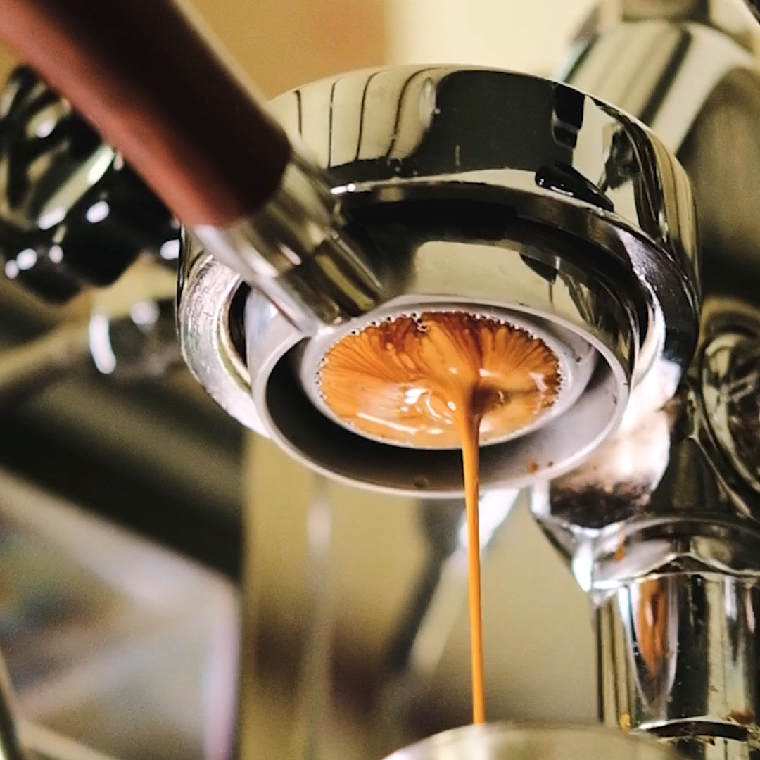 Load video: Bottomless portafilter espresso shot of Deep Sea pulling - Leatherback Roasters