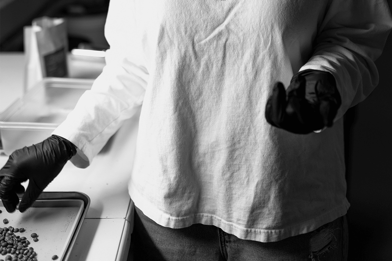 Person wearing a white shirt and black gloves handling coffee in a roastery.