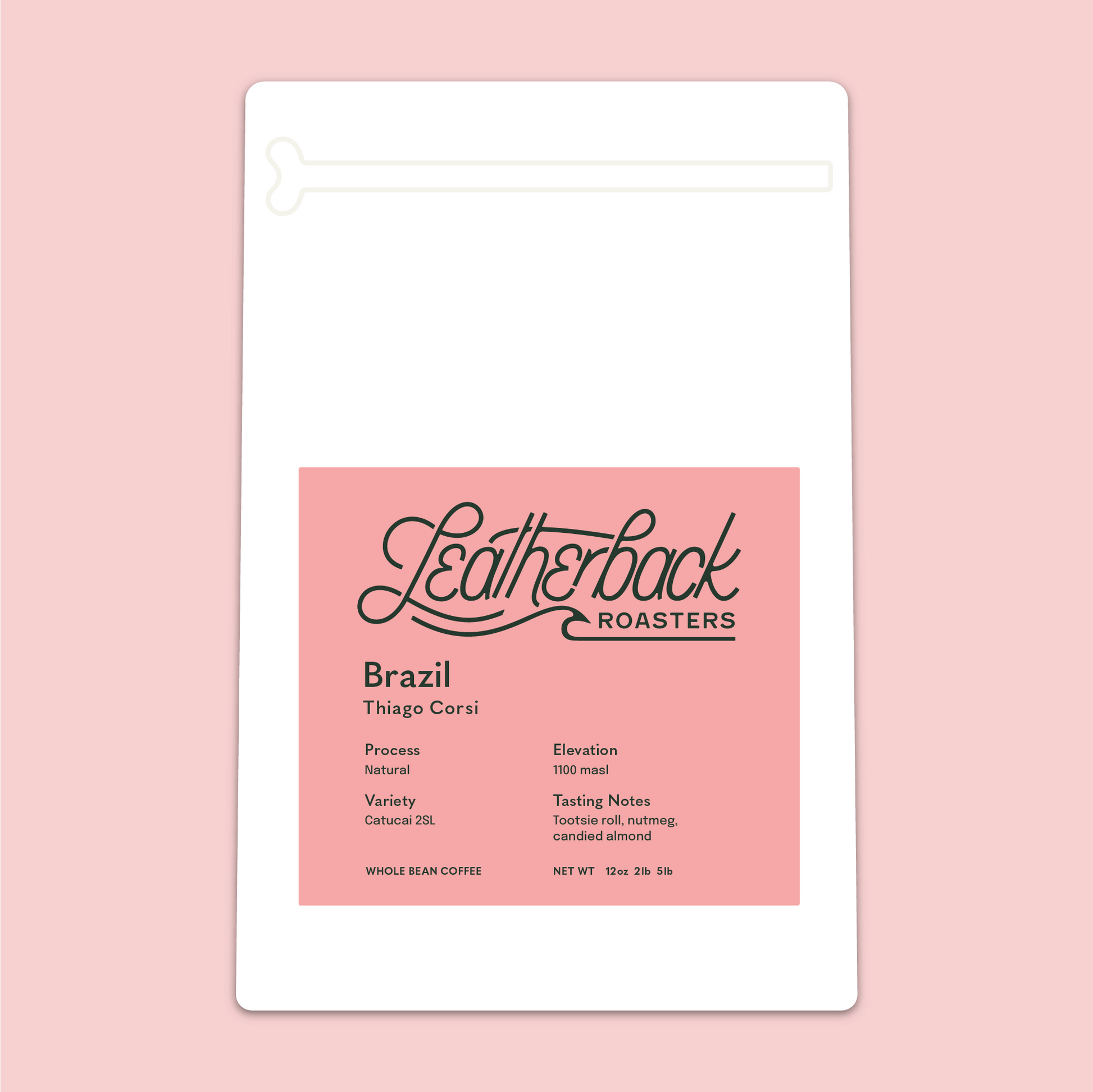 Coffee bag with 'Leatherback Roasters' branding on a pink background labeled 'Brazil Thiago Corsi'