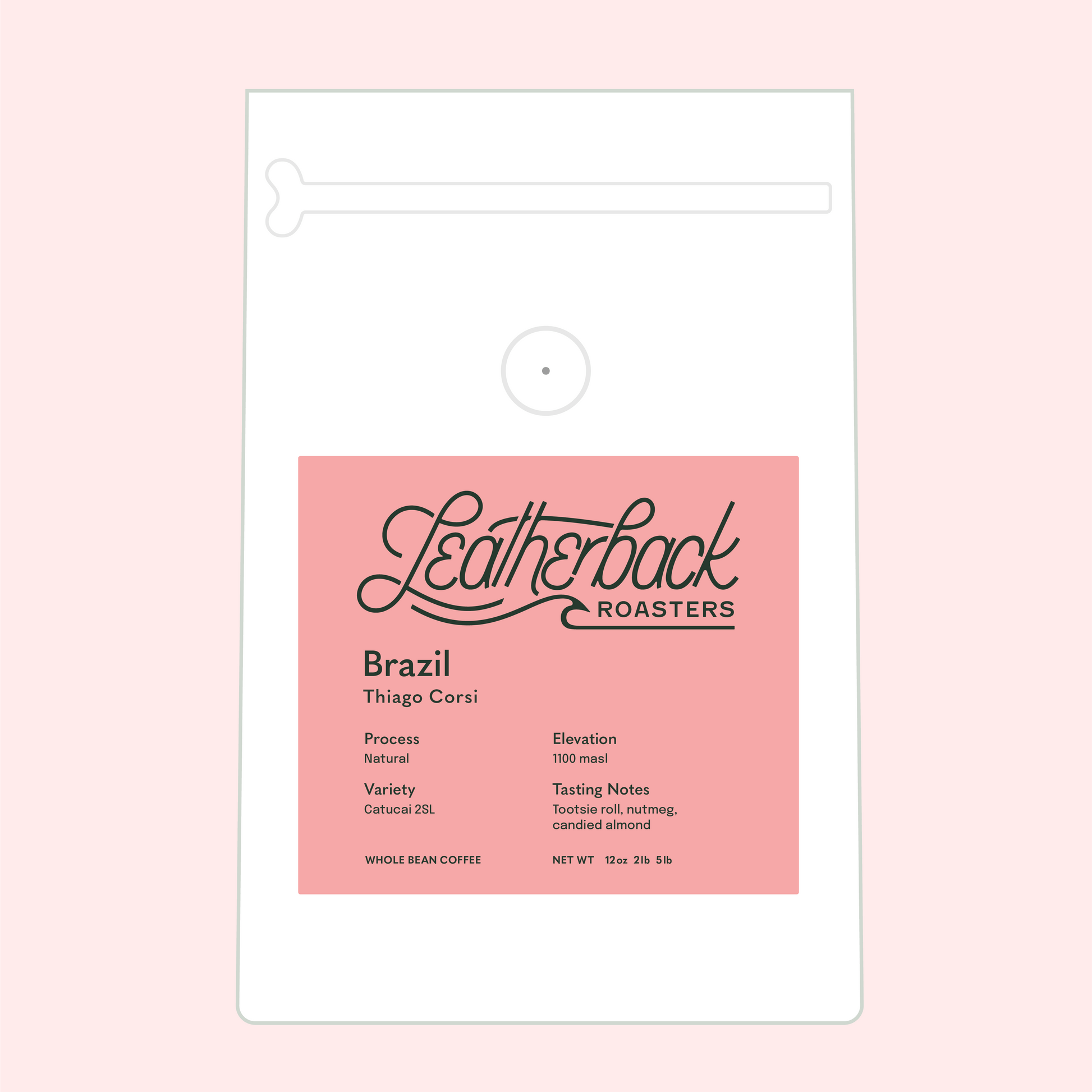 Brazil Thiago Corsi | Whole Bean Coffee | 12 oz. Bag | Leatherback Roasters  Orlando, Florida
