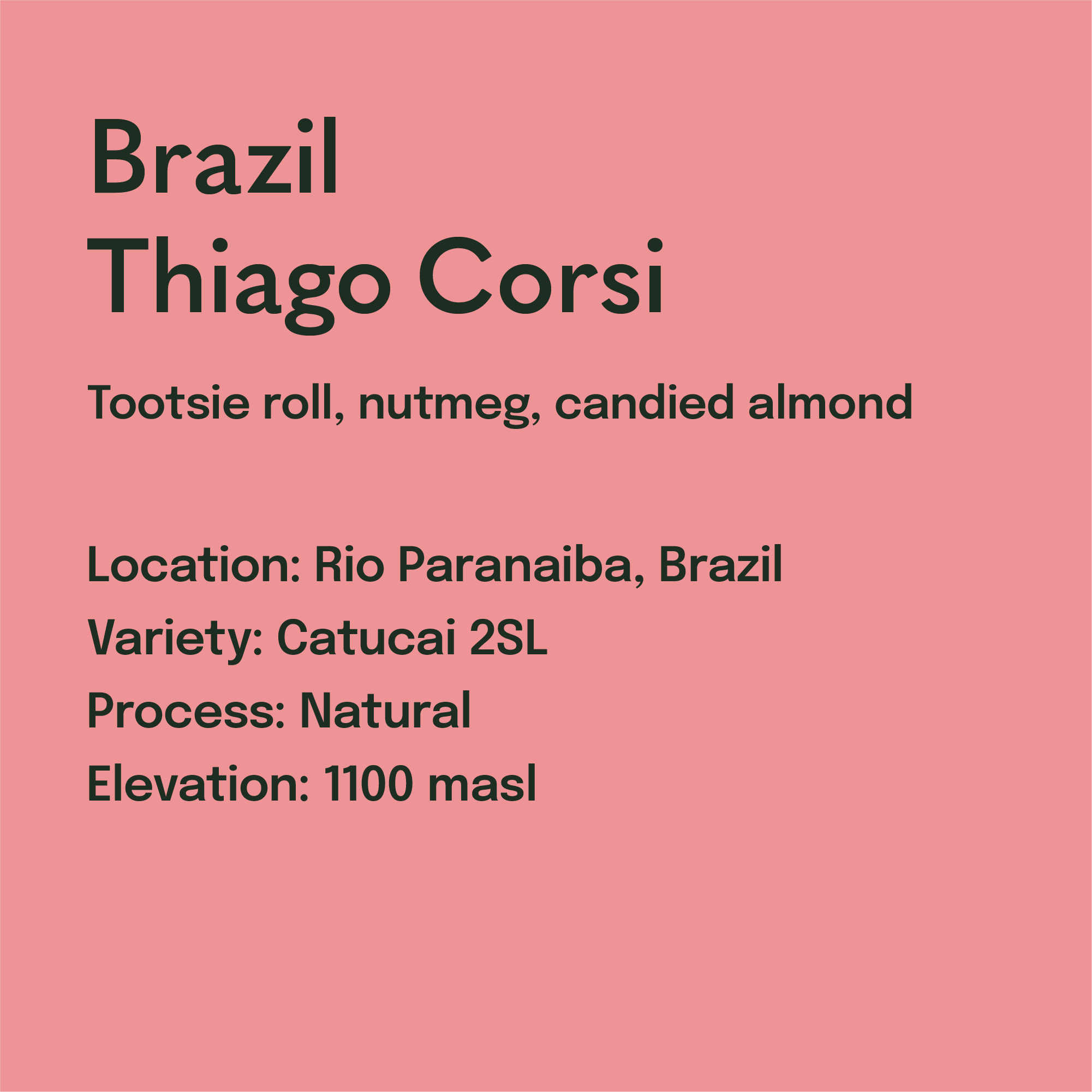 Text on a pink background describing coffee from Brazil Thiago Corsi with details like flavor profile, location, variety, process, and elevation.