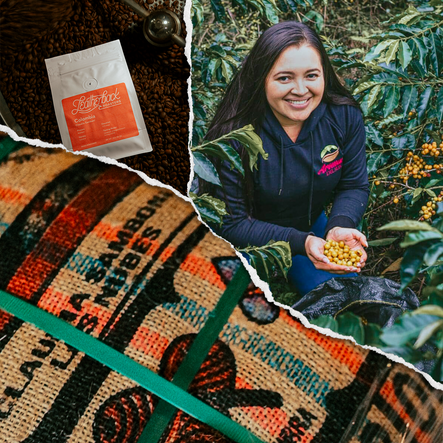 Collage of a woman holding coffee beans, a coffee bag, and a coffee package with branding.