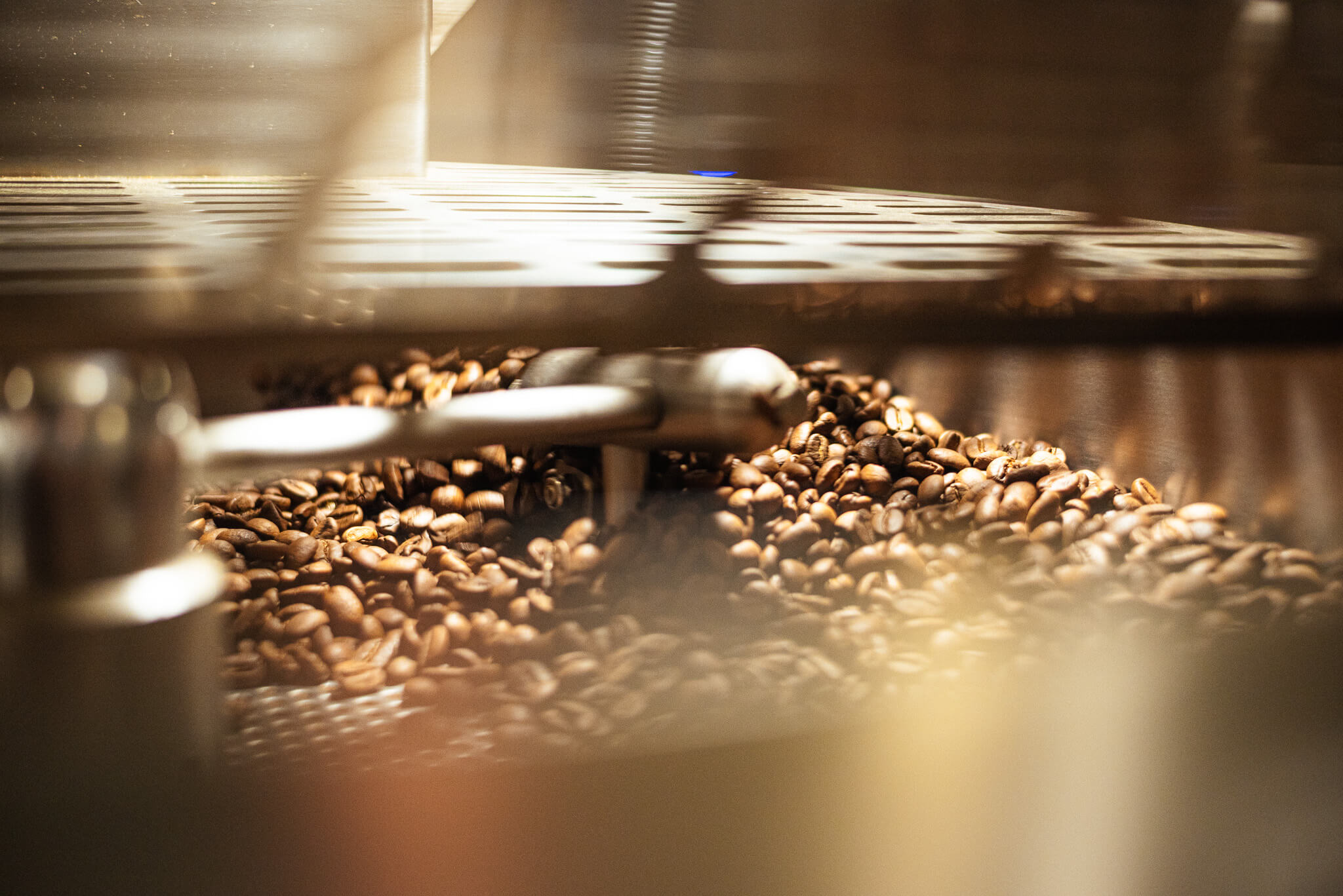 Roasted coffee in the cooling tray of a coffee roaster.