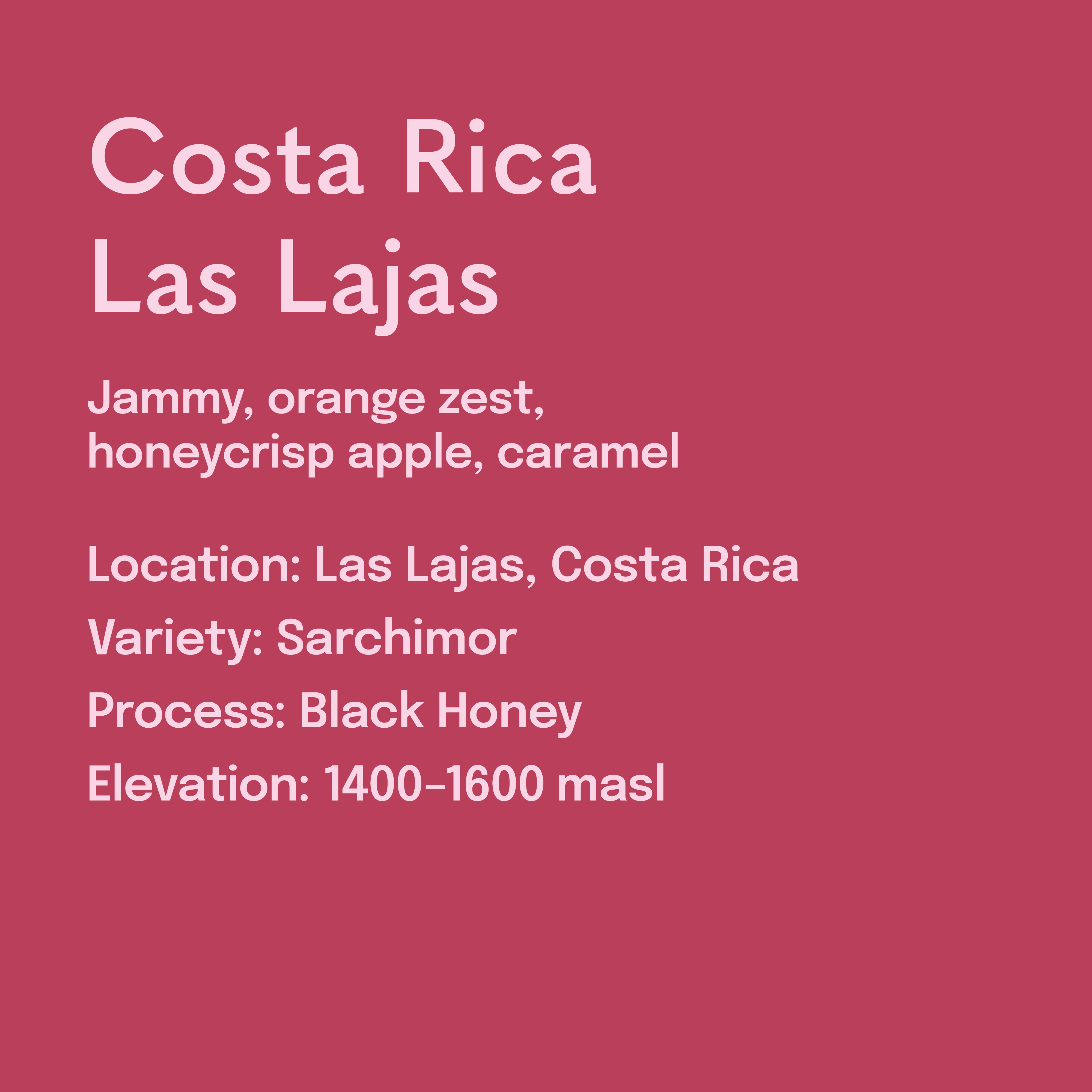 Costa Rica Las Lajas