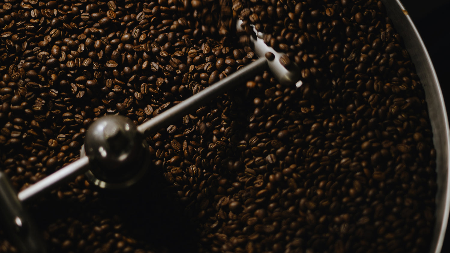 Close-up of a coffee roaster cooling tray with freshly roasted coffee beans spinning. Leatherback Roasters. Orlando, Florida.