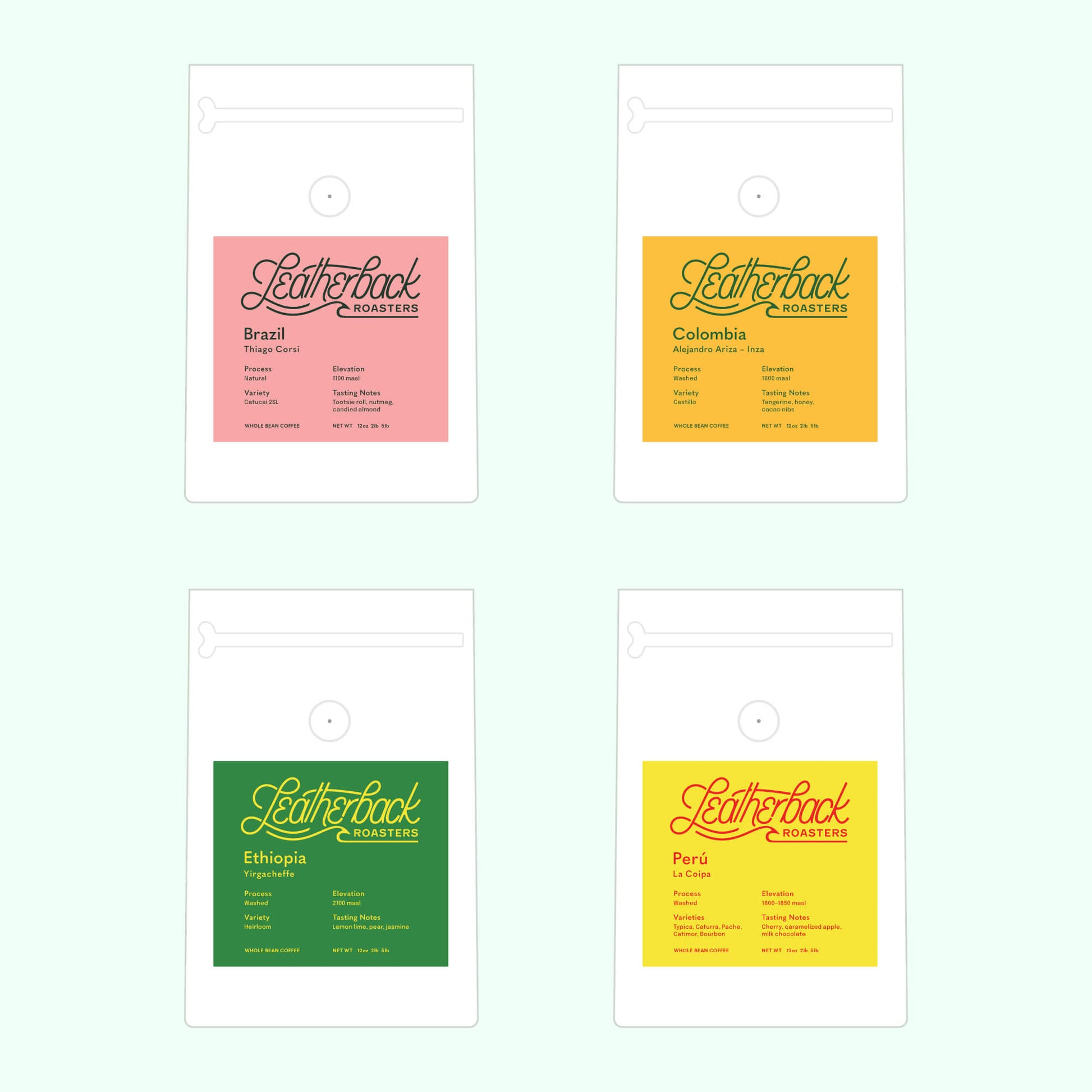 Best Coffee Subscription | Specialty Coffee | Roaster's Choice Coffee Club | Whole Bean Coffee | 12 oz. Bag | Leatherback Roasters | Orlando, Florida