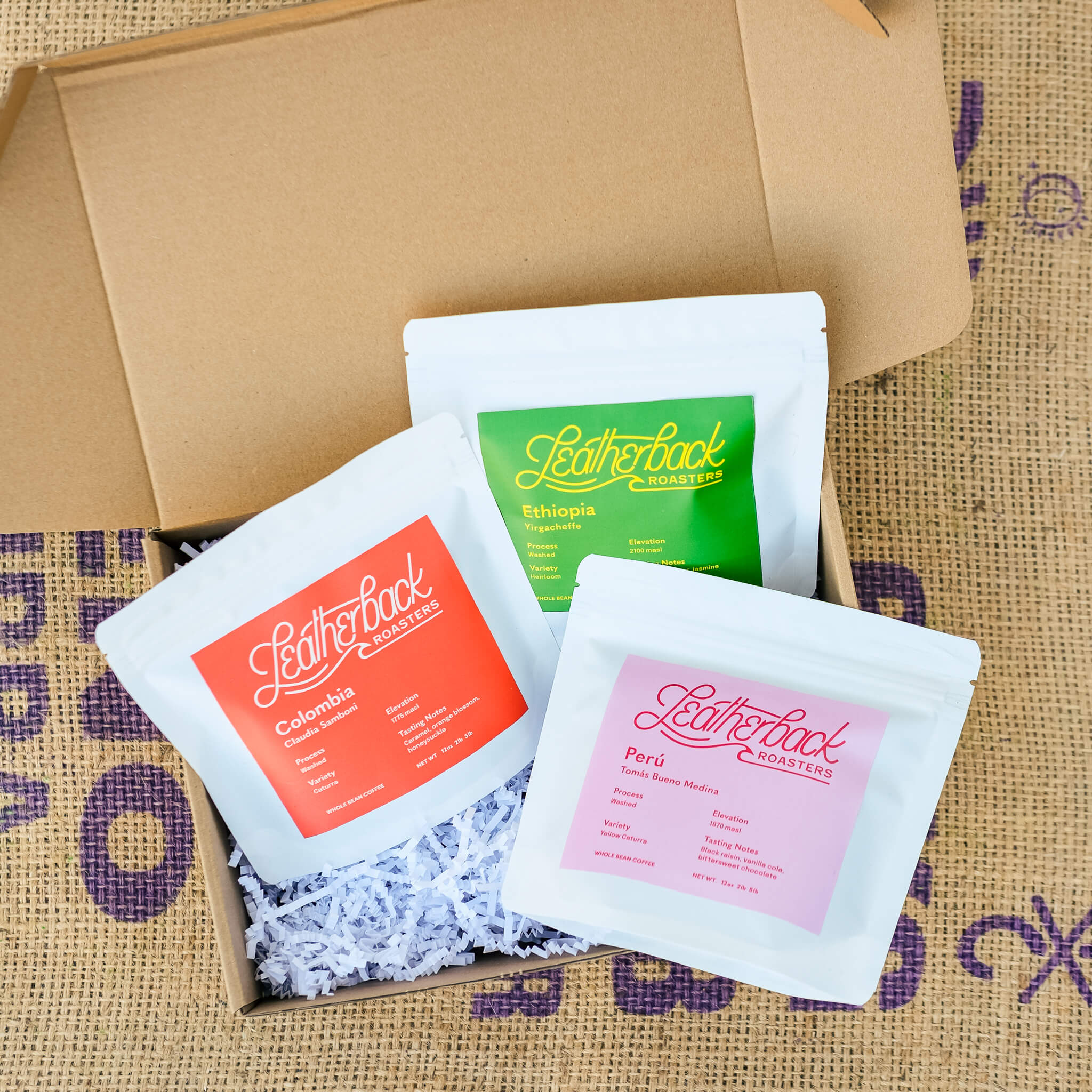 Coffee Sample Pack | Specialty Coffee Sampler | Leatherback Roasters