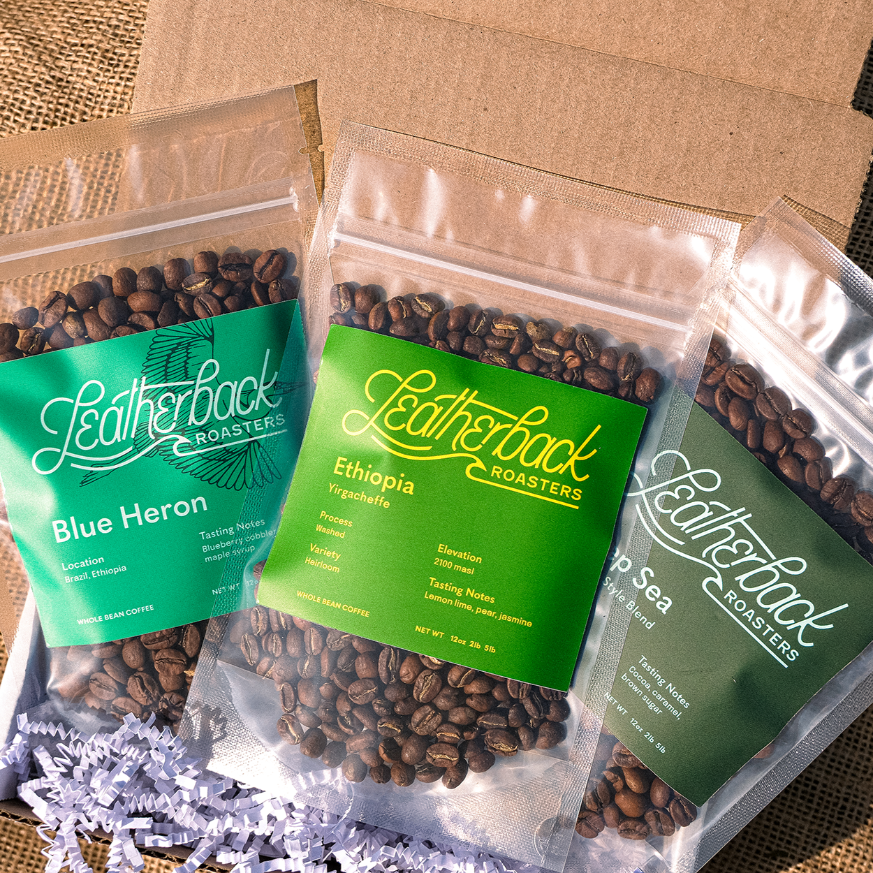 Coffee Sample Gift Box | Coffee Sample Pack | Whole Bean Coffee | Leatherback Roasters | Orlando, Florida | Specialty Coffee