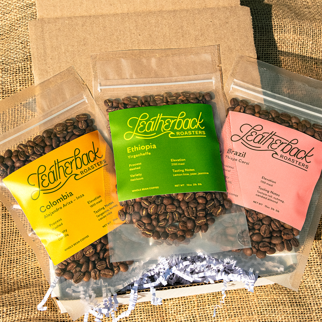Coffee Sample Gift Box | Coffee Sample Pack | Single-Origin Coffee | Whole Bean Coffee | Leatherback Roasters | Orlando, Florida | Specialty Coffee