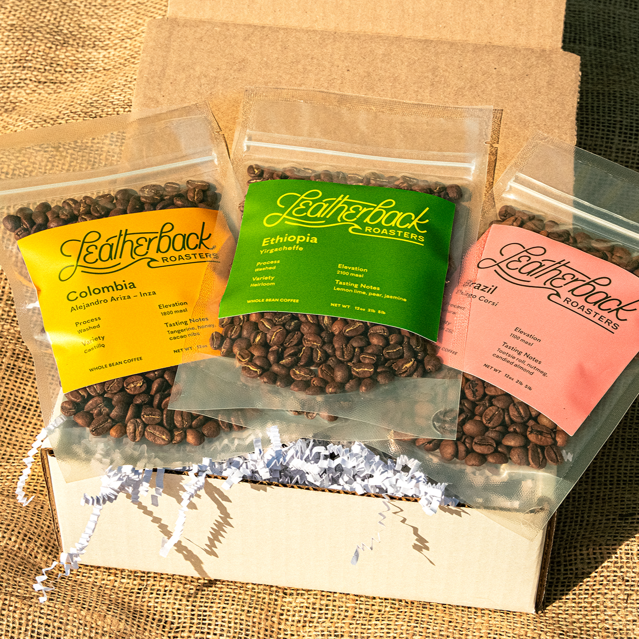 Coffee Sample Gift Box | Coffee Sample Pack | Single Origin Coffee | Whole Bean Coffee | Leatherback Roasters | Orlando, Florida | Specialty Coffee