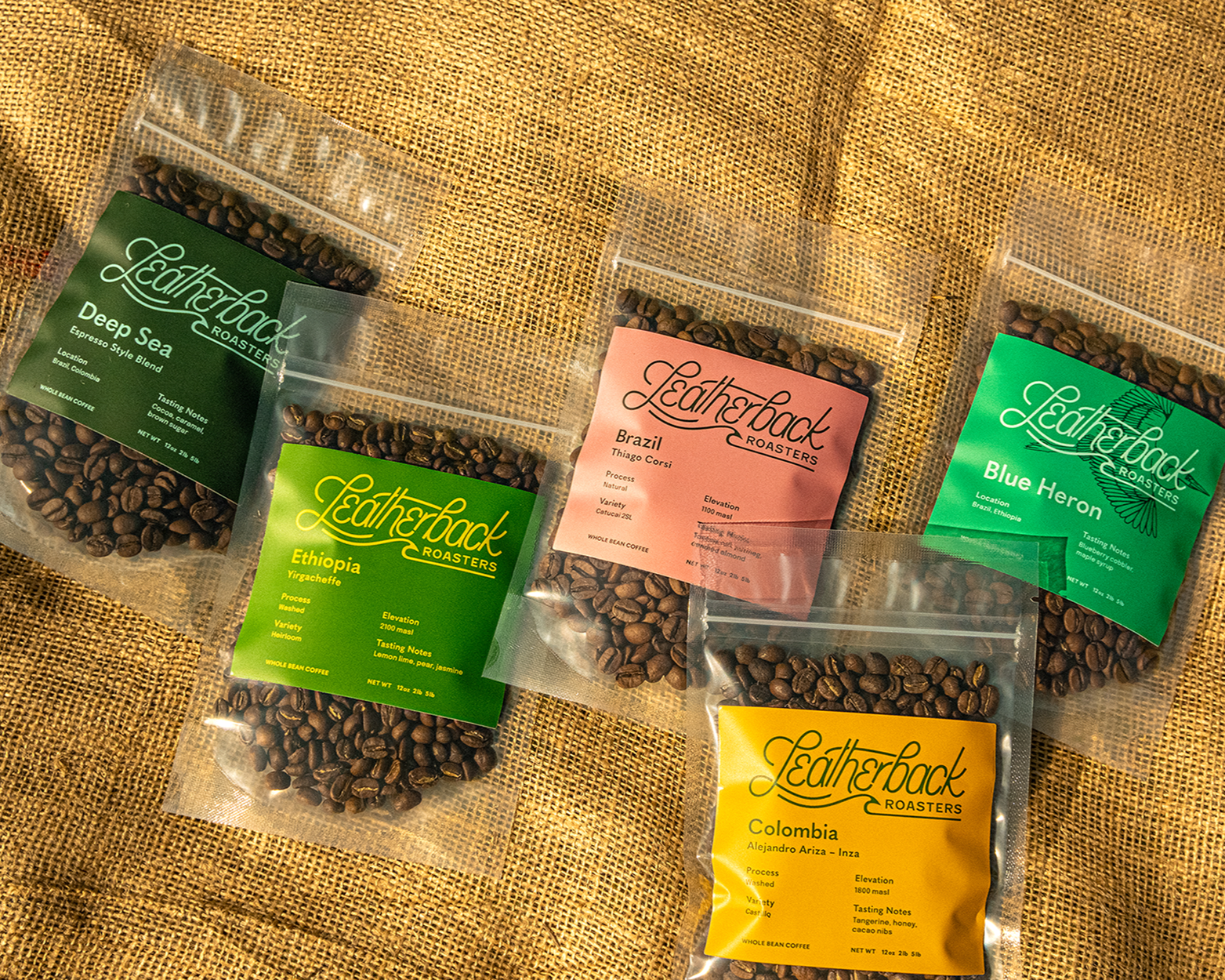 Specialty Coffee | Whole Bean Roasted Coffee | Coffee Sample Box | Roasted in Orlando, Florida | Coffee Gift Box | Single-Origin Coffees | Coffee Gift | Coffee Lover