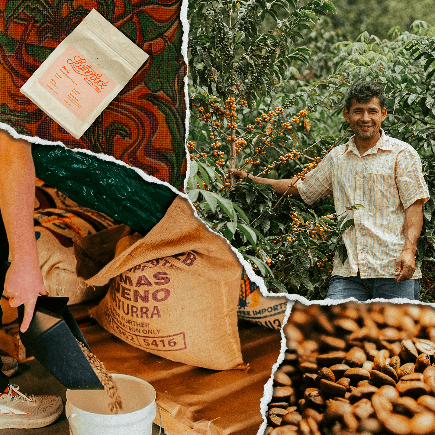 Tomas Bueno with roasted Peruvian coffee