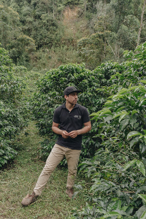 Urrao Colombia on El Tigre farm. Coffee producer, Daniel Hernández. Photo used with permission from Unblended.