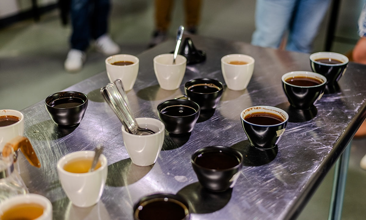 Orlando Coffee Events. Learn more about coffee at our roastery in Longwood.